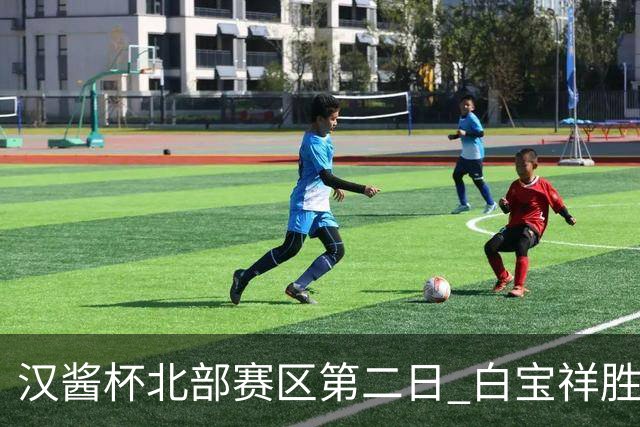 汉酱杯北部赛区第二日 白宝祥胜马天放独占鳌头